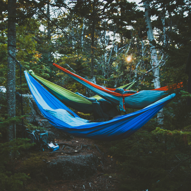 A Guide to Hammocking